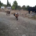 Hébergement de vacances Roulotte *