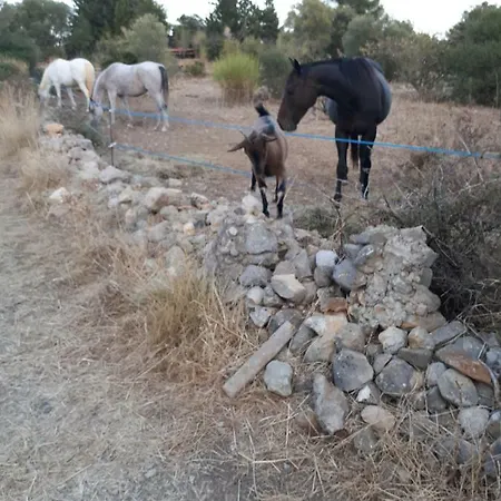 Roulotte بيت للعطل