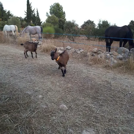 بيت للعطل Roulotte *