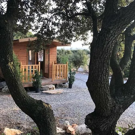 بيت للعطل Roulotte Cournonterral