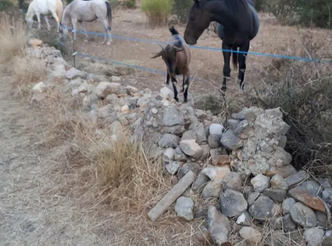 Roulotte Prázdninový dům